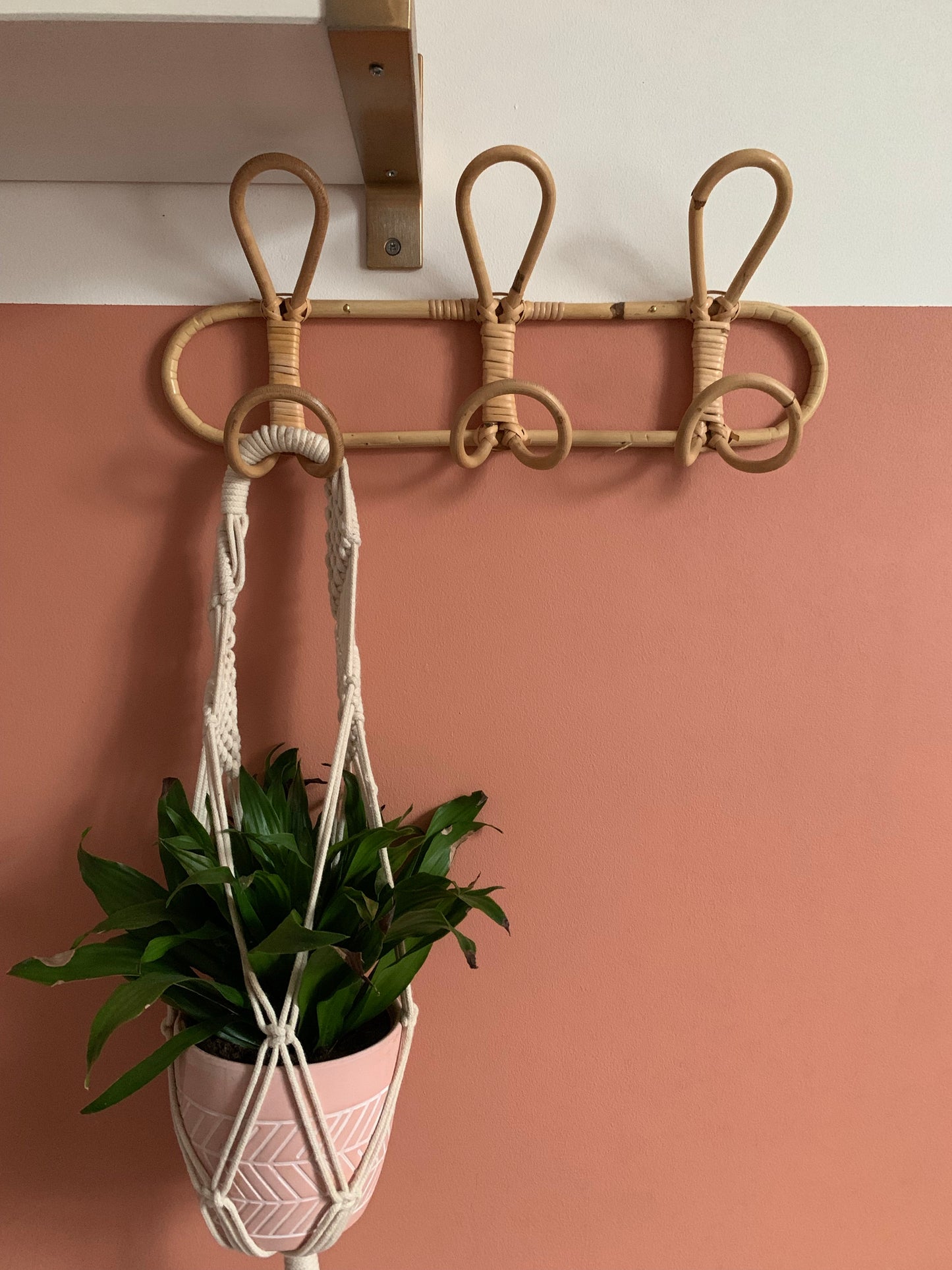 Cane Coat Hooks