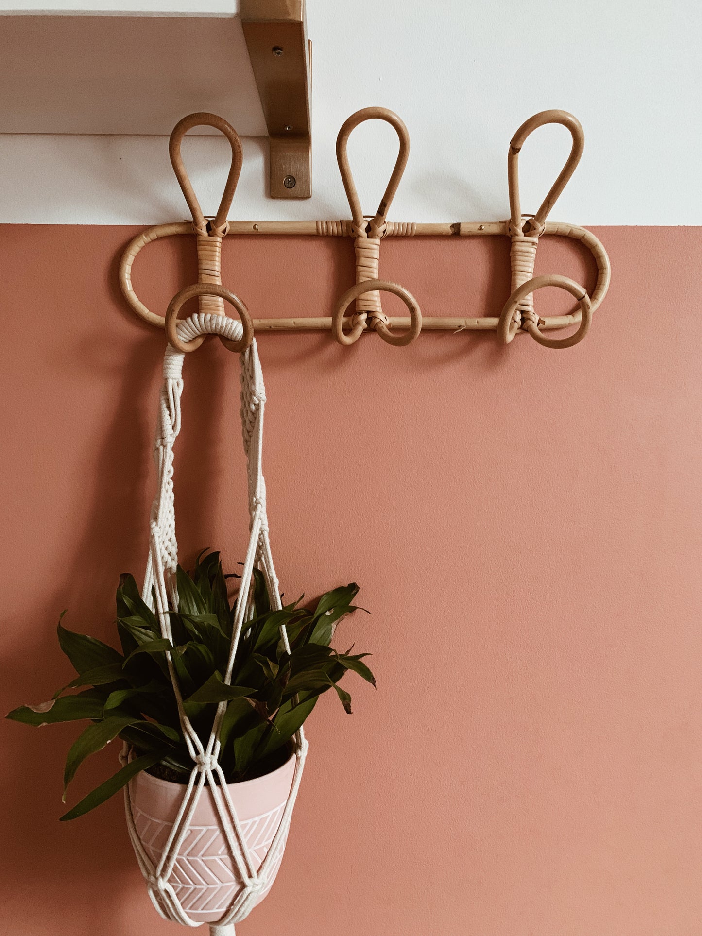 Cane Coat Hooks